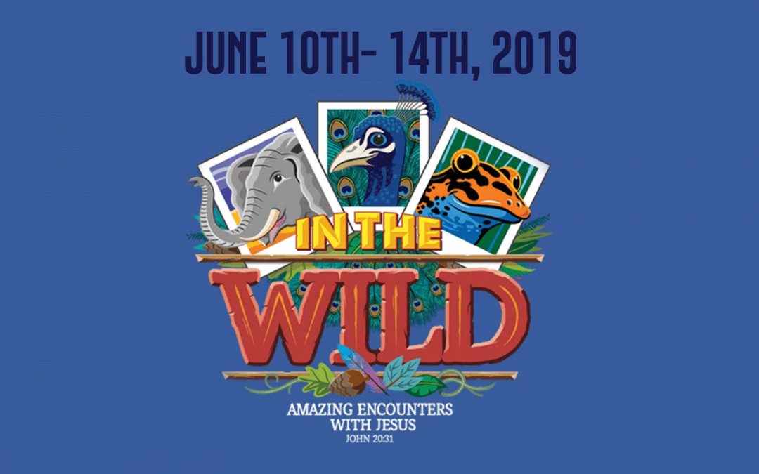 2019 Vacation Bible School is Coming!